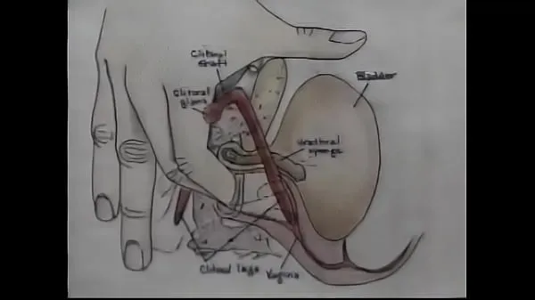 Nouveaux Vidéo de formation sur l'orgasme d'éducation sexuelle films sympas