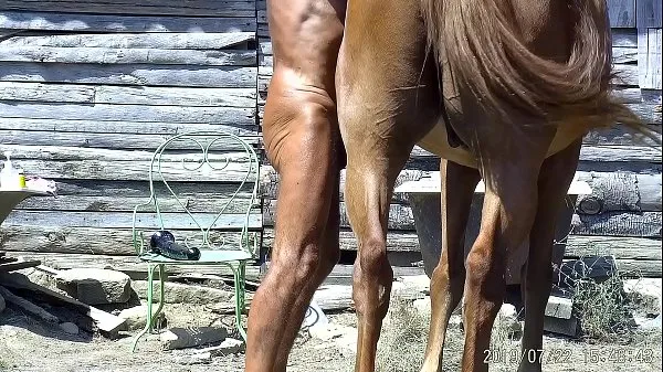 Nouveaux parmi mes chevaux films sympas