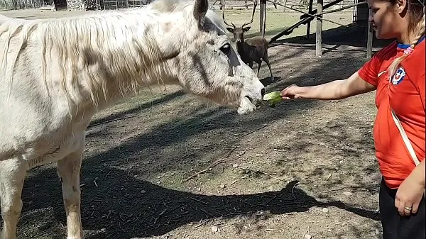 新しい馬の手足の大きさを見て、私はすべて濡れました!!!彼氏がそうだったらいいのに!!!パティバット、エルトロデオロクールな映画