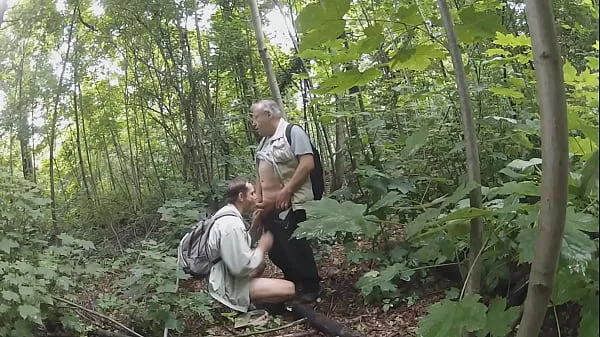 Novos avós na floresta 146 filmes legais