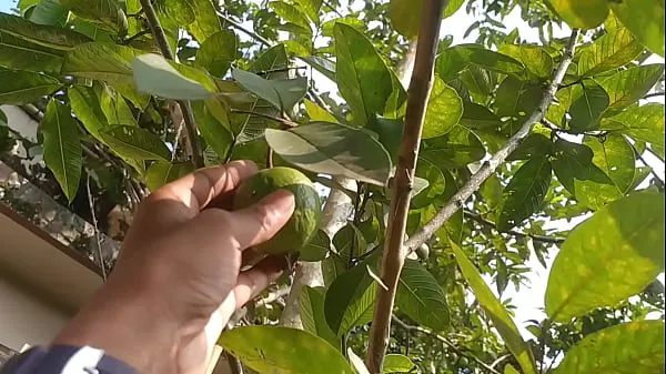 Nya Pakinoon got Horny while Visiting Garden for Guava, Masturbating a Lot Moan Jerking and Unload coola filmer